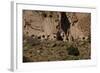 USA, Near Los Alamos, New Mexico, Bandelier National Monument, Frijoles Canyon-null-Framed Giclee Print