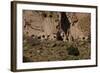 USA, Near Los Alamos, New Mexico, Bandelier National Monument, Frijoles Canyon-null-Framed Giclee Print