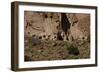 USA, Near Los Alamos, New Mexico, Bandelier National Monument, Frijoles Canyon-null-Framed Giclee Print