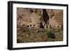 USA, Near Los Alamos, New Mexico, Bandelier National Monument, Frijoles Canyon-null-Framed Giclee Print