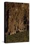 USA, Near Los Alamos, New Mexico, Bandelier National Monument-null-Stretched Canvas