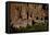 USA, Near Los Alamos, New Mexico, Bandelier National Monument-null-Framed Stretched Canvas