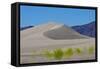 USA, Nevada, Beatty. Amargosa Dunes-Bernard Friel-Framed Stretched Canvas