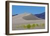 USA, Nevada, Beatty. Amargosa Dunes-Bernard Friel-Framed Photographic Print