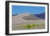 USA, Nevada, Beatty. Amargosa Dunes-Bernard Friel-Framed Photographic Print