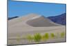 USA, Nevada, Beatty. Amargosa Dunes-Bernard Friel-Mounted Photographic Print