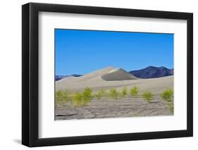 USA, Nevada. Beatty, Armargosa Dunes-Bernard Friel-Framed Photographic Print