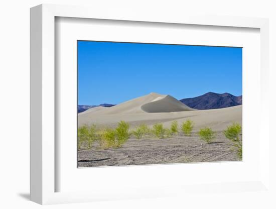 USA, Nevada. Beatty, Armargosa Dunes-Bernard Friel-Framed Photographic Print