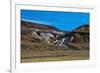 USA, Nevada. Black Rock Desert, Black Rock Range, from Applegate-Lassen Trail-Bernard Friel-Framed Photographic Print