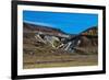 USA, Nevada. Black Rock Desert, Black Rock Range, from Applegate-Lassen Trail-Bernard Friel-Framed Photographic Print