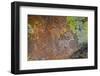 USA, Nevada. Caliente. Basin and Range National Monument, Mount Irish Petroglyphs-Bernard Friel-Framed Photographic Print