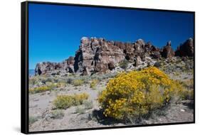 USA, Nevada. Caliente. Basin and Range National Monument,-Bernard Friel-Framed Stretched Canvas