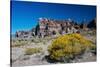 USA, Nevada. Caliente. Basin and Range National Monument,-Bernard Friel-Stretched Canvas