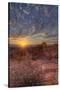 USA, Nevada, Clark County. Valley of Fire State Park. Elephant Rock-Brent Bergherm-Stretched Canvas