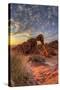USA, Nevada, Clark County. Valley of Fire State Park. Elephant Rock-Brent Bergherm-Stretched Canvas