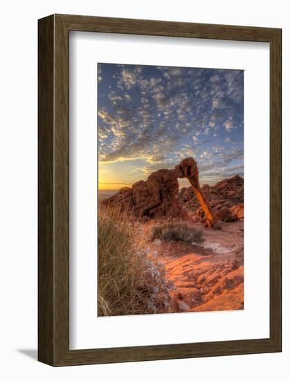 USA, Nevada, Clark County. Valley of Fire State Park. Elephant Rock-Brent Bergherm-Framed Photographic Print