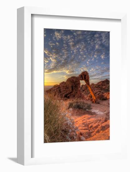 USA, Nevada, Clark County. Valley of Fire State Park. Elephant Rock-Brent Bergherm-Framed Photographic Print