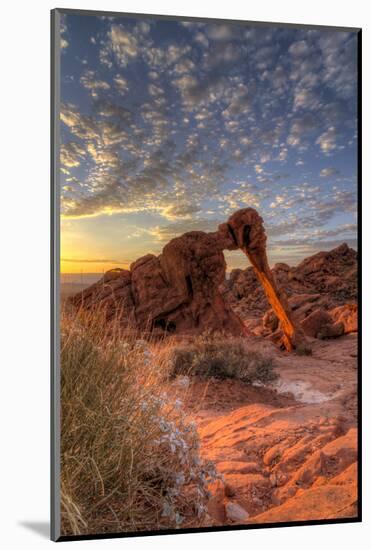 USA, Nevada, Clark County. Valley of Fire State Park. Elephant Rock-Brent Bergherm-Mounted Photographic Print