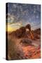 USA, Nevada, Clark County. Valley of Fire State Park. Elephant Rock-Brent Bergherm-Stretched Canvas