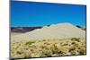 USA, Nevada, Fallon. Dunes in the Sand Mountain Recreation Area-Bernard Friel-Mounted Photographic Print