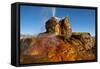 USA, Nevada, Gerlach, Fly Geyser, Black Rock Desert-Bernard Friel-Framed Stretched Canvas