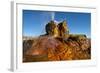 USA, Nevada, Gerlach, Fly Geyser, Black Rock Desert-Bernard Friel-Framed Photographic Print