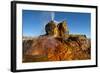 USA, Nevada, Gerlach, Fly Geyser, Black Rock Desert-Bernard Friel-Framed Photographic Print