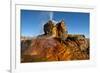 USA, Nevada, Gerlach, Fly Geyser, Black Rock Desert-Bernard Friel-Framed Photographic Print