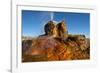 USA, Nevada, Gerlach, Fly Geyser, Black Rock Desert-Bernard Friel-Framed Photographic Print