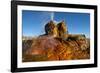 USA, Nevada, Gerlach, Fly Geyser, Black Rock Desert-Bernard Friel-Framed Photographic Print