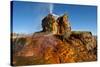 USA, Nevada, Gerlach, Fly Geyser, Black Rock Desert-Bernard Friel-Stretched Canvas