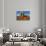 USA, Nevada, Gerlach, Fly Geyser, Black Rock Desert-Bernard Friel-Stretched Canvas displayed on a wall