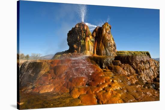 USA, Nevada, Gerlach, Fly Geyser, Black Rock Desert-Bernard Friel-Stretched Canvas