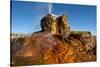 USA, Nevada, Gerlach, Fly Geyser, Black Rock Desert-Bernard Friel-Stretched Canvas