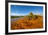 USA, Nevada, Gerlach, Fly Geyser, Black Rock Desert-Bernard Friel-Framed Photographic Print