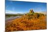 USA, Nevada, Gerlach, Fly Geyser, Black Rock Desert-Bernard Friel-Mounted Photographic Print