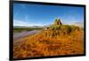 USA, Nevada, Gerlach, Fly Geyser, Black Rock Desert-Bernard Friel-Framed Photographic Print