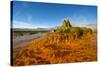 USA, Nevada, Gerlach, Fly Geyser, Black Rock Desert-Bernard Friel-Stretched Canvas