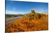 USA, Nevada, Gerlach, Fly Geyser, Black Rock Desert-Bernard Friel-Stretched Canvas