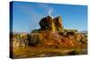 USA, Nevada, Gerlach, Fly Geyser, Black Rock Desert-Bernard Friel-Stretched Canvas