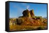 USA, Nevada, Gerlach, Fly Geyser, Black Rock Desert-Bernard Friel-Framed Stretched Canvas