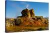 USA, Nevada, Gerlach, Fly Geyser, Black Rock Desert-Bernard Friel-Stretched Canvas