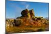 USA, Nevada, Gerlach, Fly Geyser, Black Rock Desert-Bernard Friel-Mounted Photographic Print