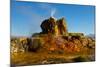 USA, Nevada, Gerlach, Fly Geyser, Black Rock Desert-Bernard Friel-Mounted Photographic Print