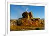 USA, Nevada, Gerlach, Fly Geyser, Black Rock Desert-Bernard Friel-Framed Photographic Print