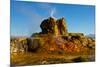 USA, Nevada, Gerlach, Fly Geyser, Black Rock Desert-Bernard Friel-Mounted Photographic Print