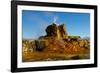 USA, Nevada, Gerlach, Fly Geyser, Black Rock Desert-Bernard Friel-Framed Photographic Print