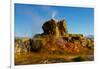 USA, Nevada, Gerlach, Fly Geyser, Black Rock Desert-Bernard Friel-Framed Photographic Print