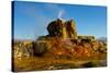 USA, Nevada, Gerlach, Fly Geyser, Black Rock Desert-Bernard Friel-Stretched Canvas