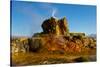 USA, Nevada, Gerlach, Fly Geyser, Black Rock Desert-Bernard Friel-Stretched Canvas